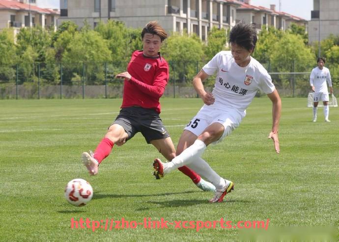 杏彩体育-世俱杯比赛场地公布:各赛场容量与交通配套详解 杏彩体育-世俱杯比赛场地公布:各赛场容量与交通配套详解